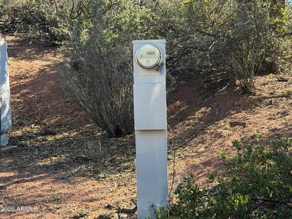 a view of a small yard with large trees