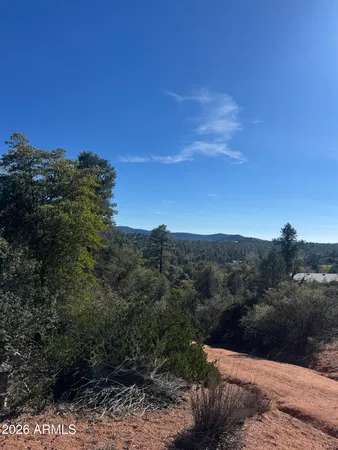 a view of a city with lush green forest