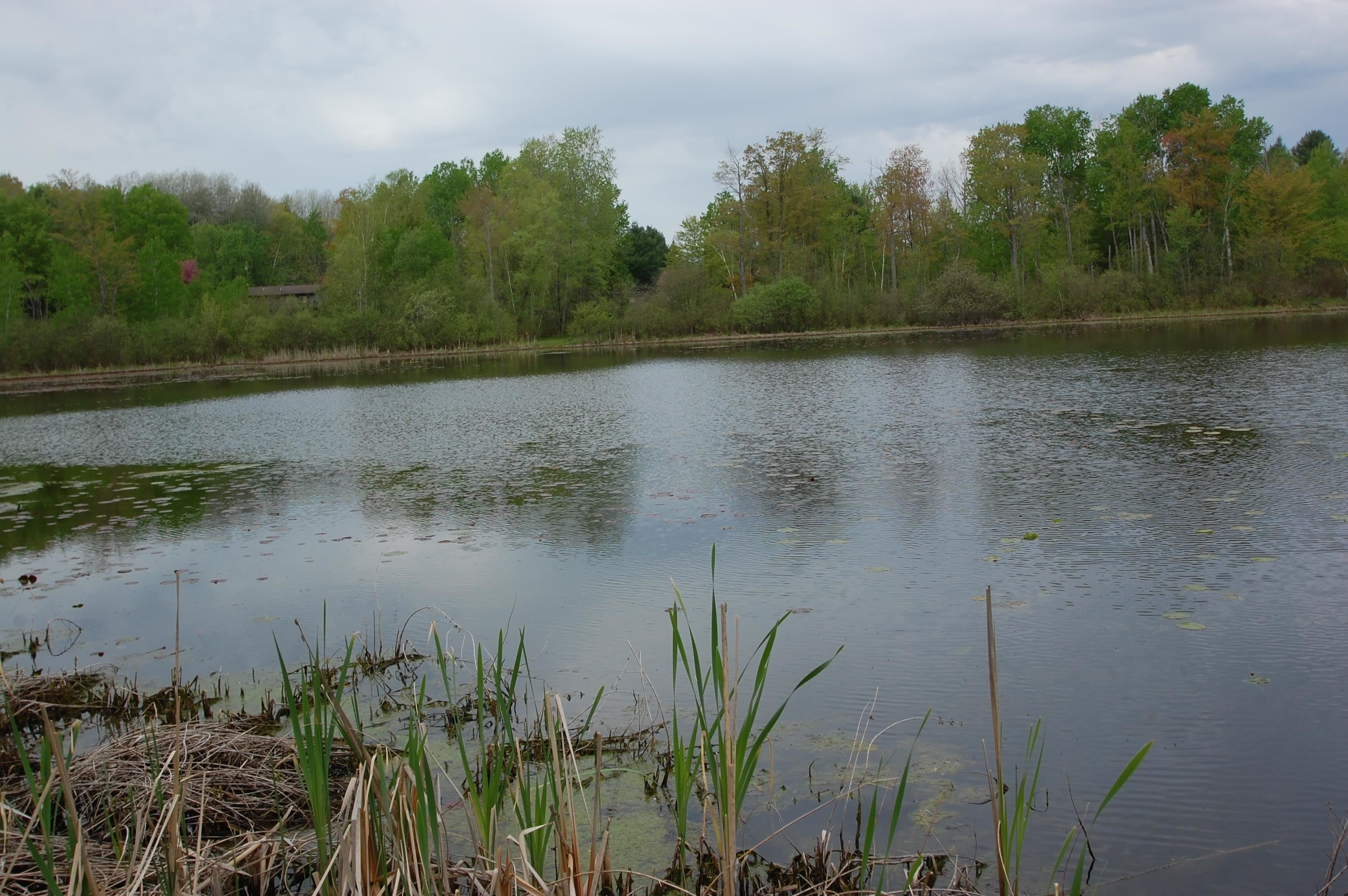 4714 Oak Road West Branch, MI 48661 - Photo 33 of 35 1922224-43bdb047-e4d8-4ed9-96b0-958437b20f04.JPG