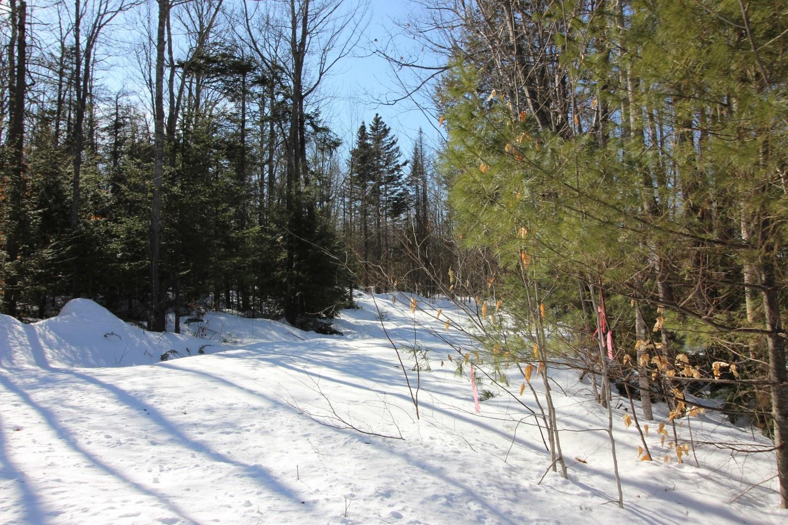 Tbd Tbd Holeman Road Rumford, ME 04276 - Photo 5 of 19 IMG_7845_1620x1080