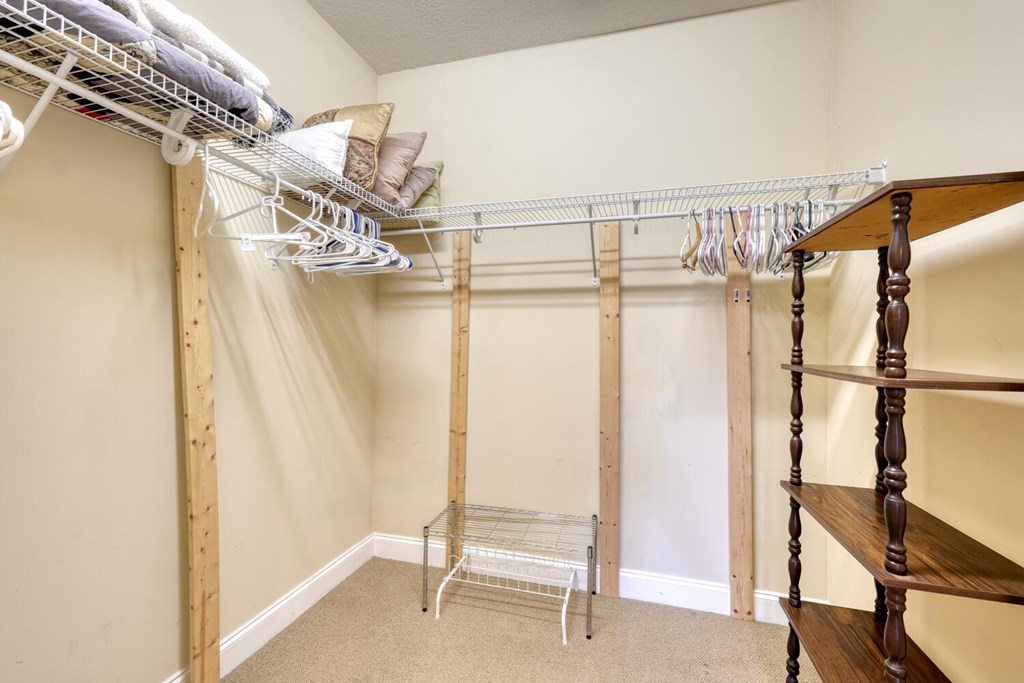 1405 Lakeside Road Hiawassee, GA 30546 - Photo 16 of 37 a view of walk in closet with empty racks