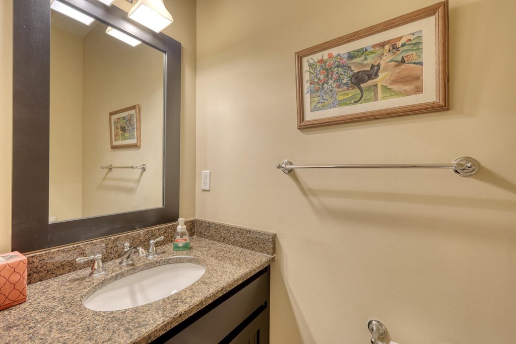 1405 Lakeside Road Hiawassee, GA 30546 - Photo 23 of 37 a bathroom with a granite countertop sink a mirror and a