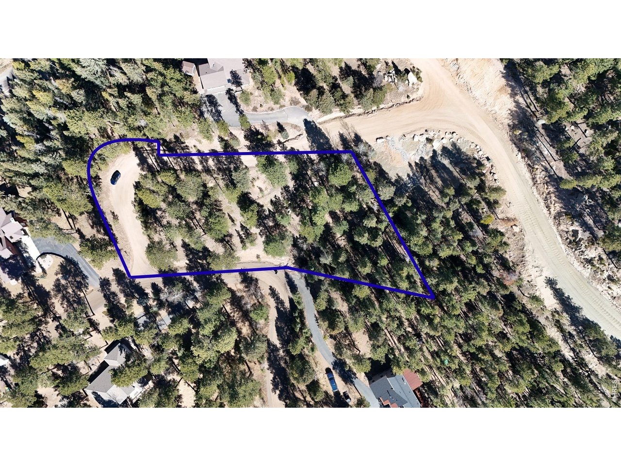 7022 South Blue Creek Road Evergreen, CO 80439 - Photo 3 of 4 a view of a bird