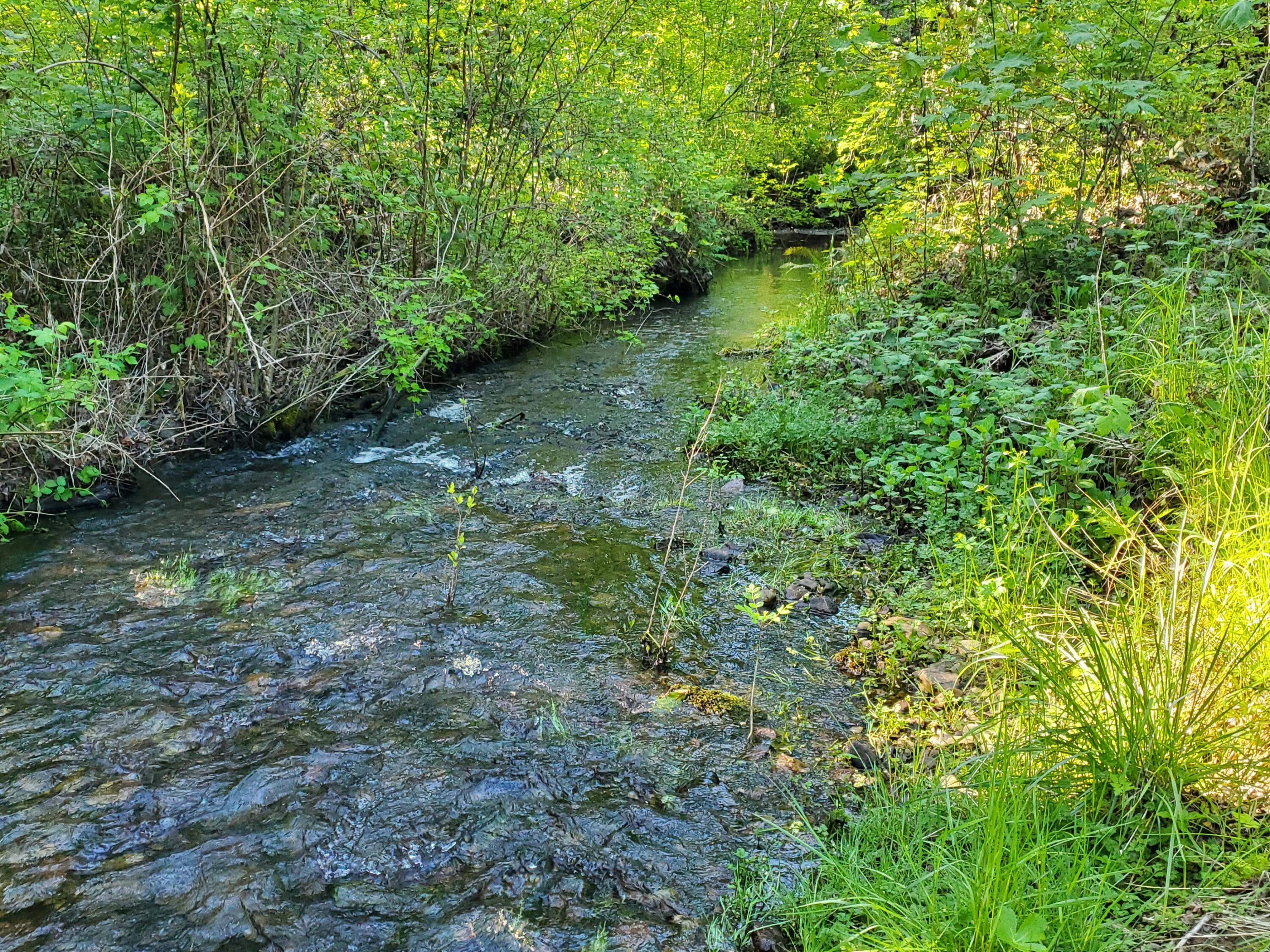 547 Barton Road Glendale, OR 97442 - Photo 23 of 35 Creek Runs all along the back of the Property