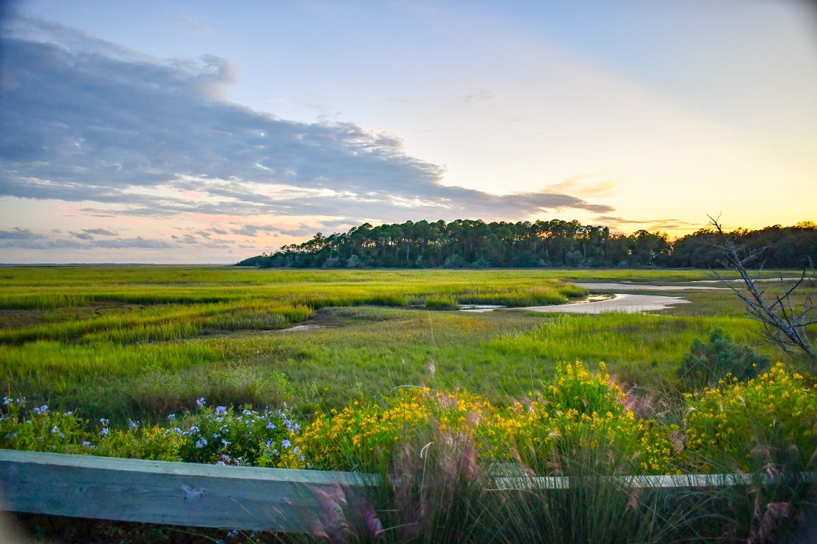 84 Broadbent Way Fernandina Beach, FL 32034 - Photo 10 of 21 a view of a lake with a big yard