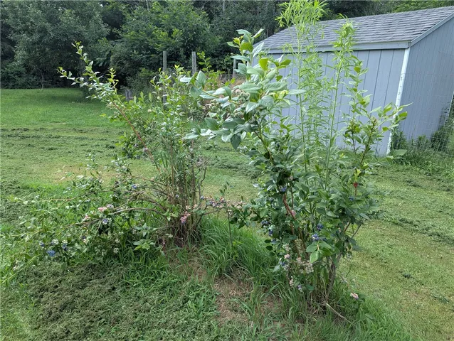 $160,000 | 14671 Lime Kiln Road, Barre, NY 14411