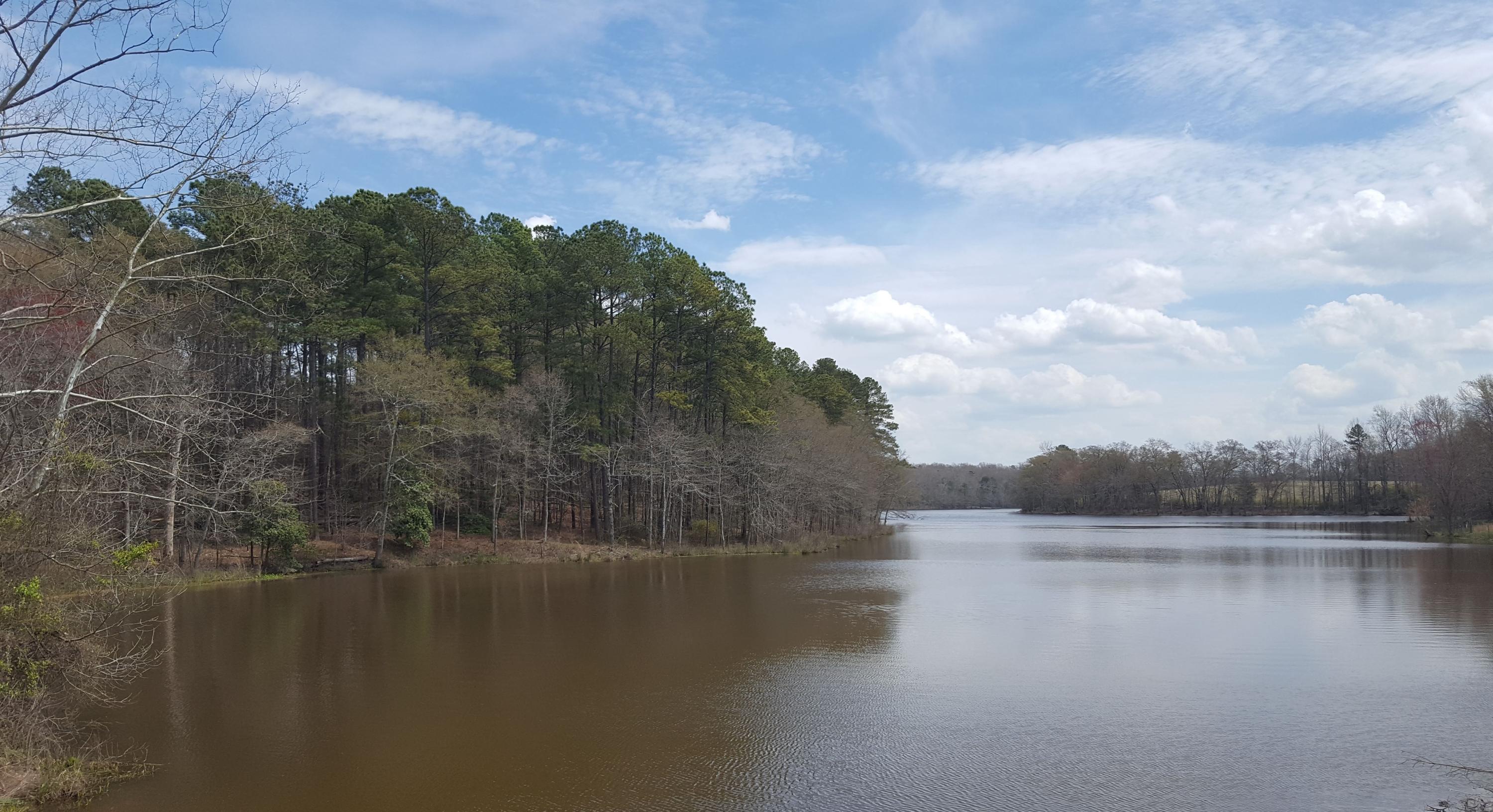 0 Hardwood Road Pelzer, SC 29669 - Photo 1 of 4 20190330_Hardwood