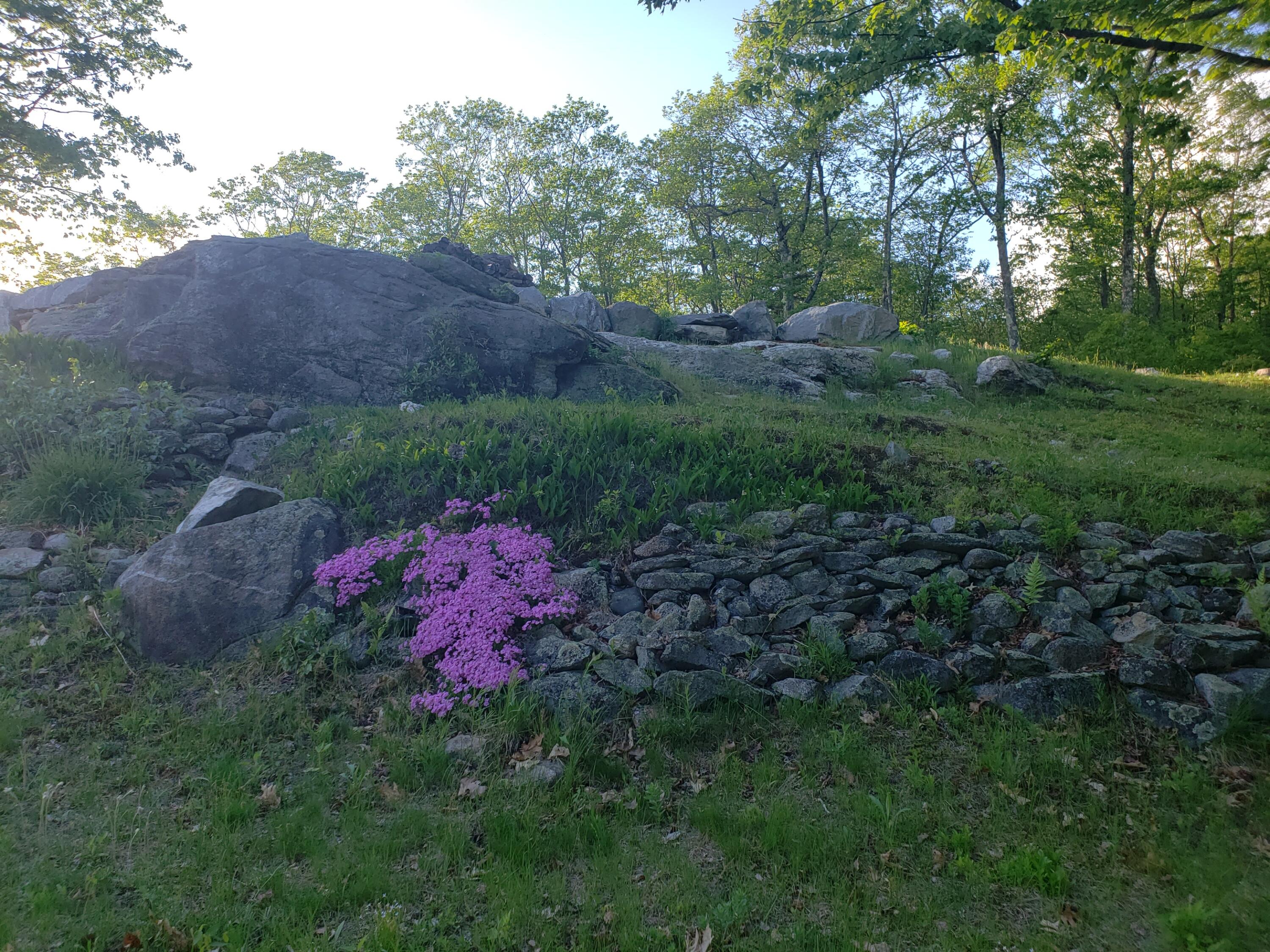 0 Daye Road Bethel, ME 04217 - Photo 2 of 44 Rock top spring