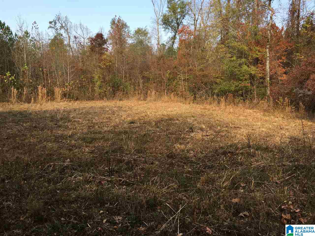 0 Wooden Trace Circle, Unit 30 Springville, AL 35146 - Photo 18 of 25