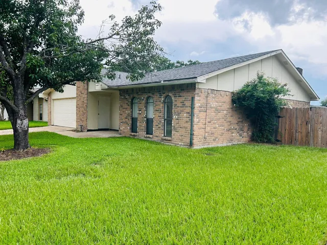 a view of a backyard with plants and large tree