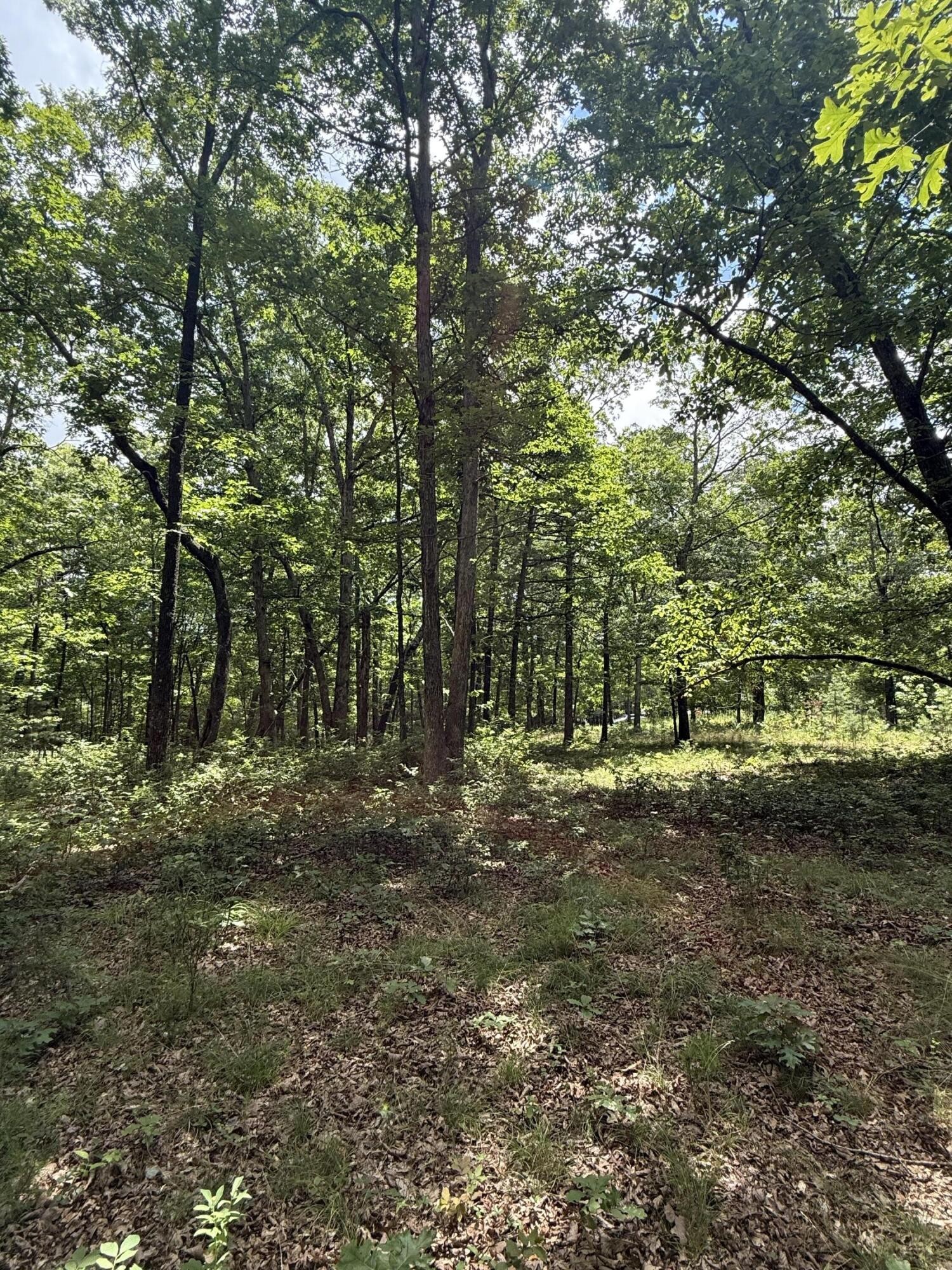 6 Greenfields Way North Dunlap, TN 37327 - Photo 9 of 15 a fire hydrant in the middle of a field