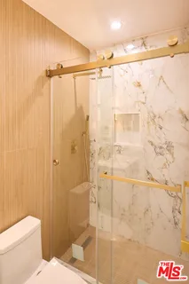 a bathroom with a shower and a toilet