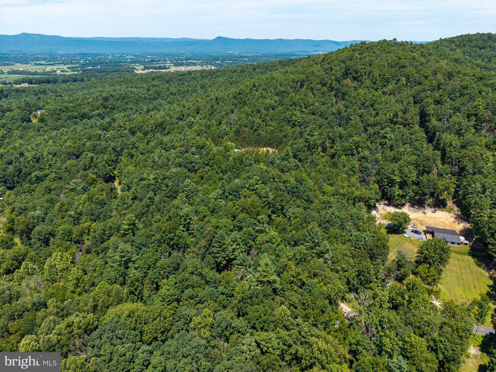 Lot 4 Somers Road Luray, VA 22835 - Photo 17 of 20 Serene woodland retreat awaits you.