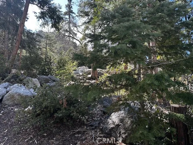 $27,000 | 0 Fir, Forest Falls, CA 92339