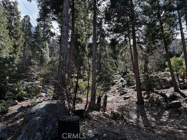 0 Fir Forest Falls, CA 92339 - Photo 3 of 3
