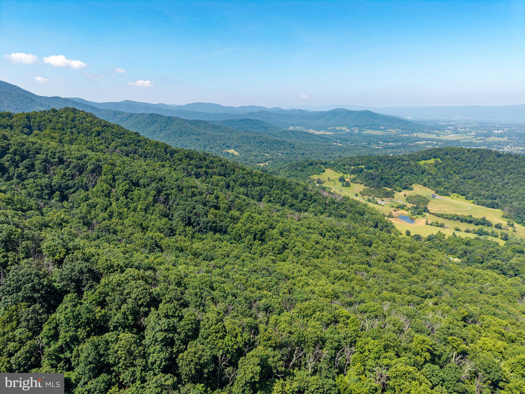 0 Helms Road Stanley, VA 22851 - Photo 9 of 50