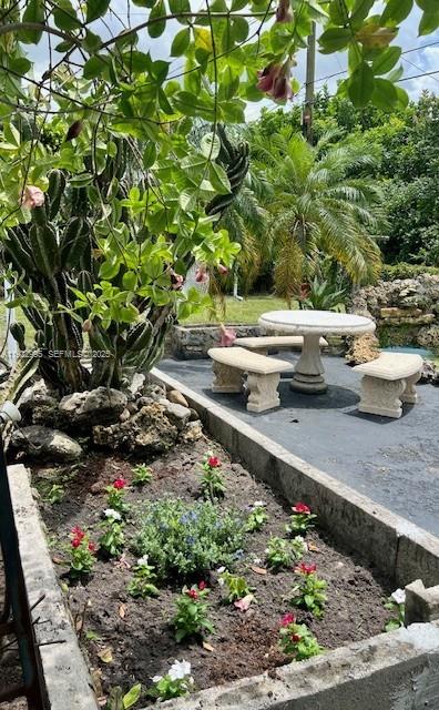 3711 Southwest 58th Avenue Davie, FL 33314 - Photo 17 of 40 a view of a yard with a tree