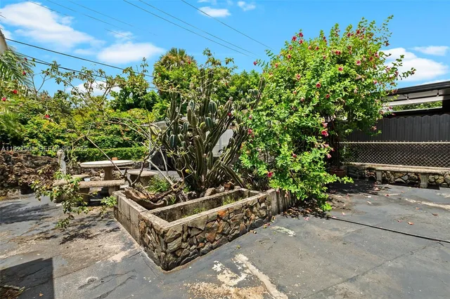 a view of a backyard with plants