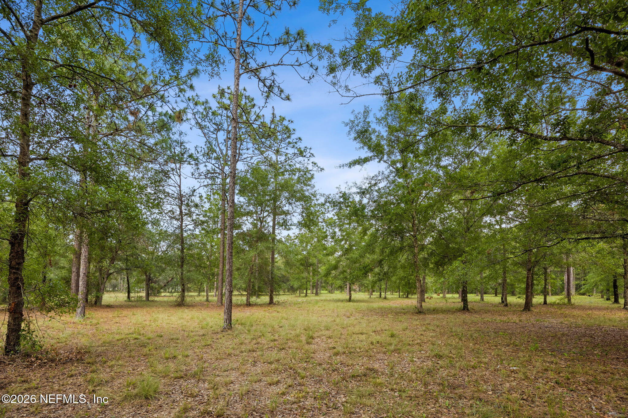 6015 Plantation Court Keystone Heights, FL 32656 - Photo 14 of 16 2-web-or-mls-6015 Plantation Ct-2