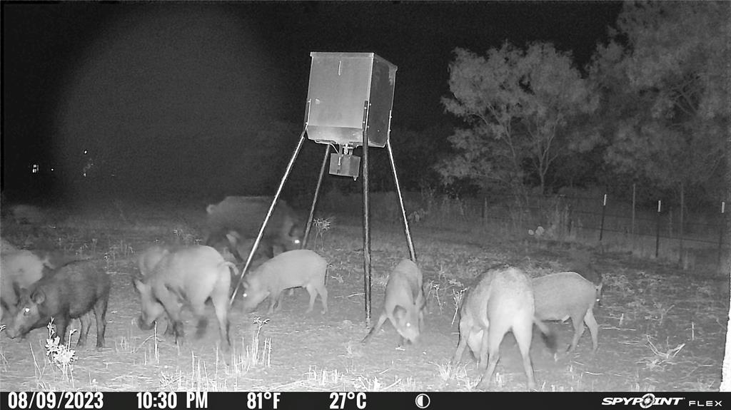 2417 Highway 569 Cisco Tx 76437 Cisco, TX 76437 - Photo 27 of 40