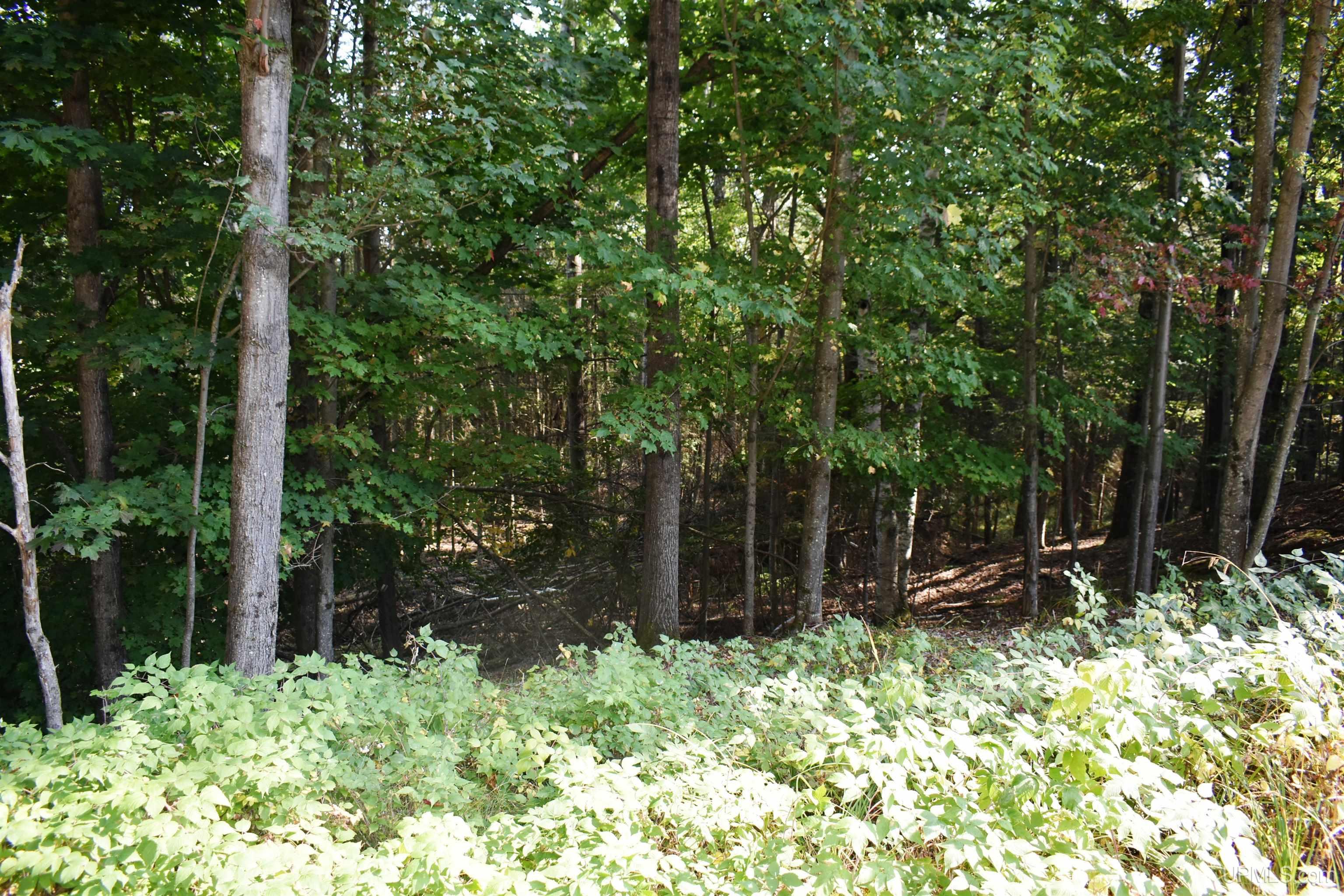 10948 South 75 Road Rapid River, MI 49878 - Photo 7 of 37 Gallery Image 7