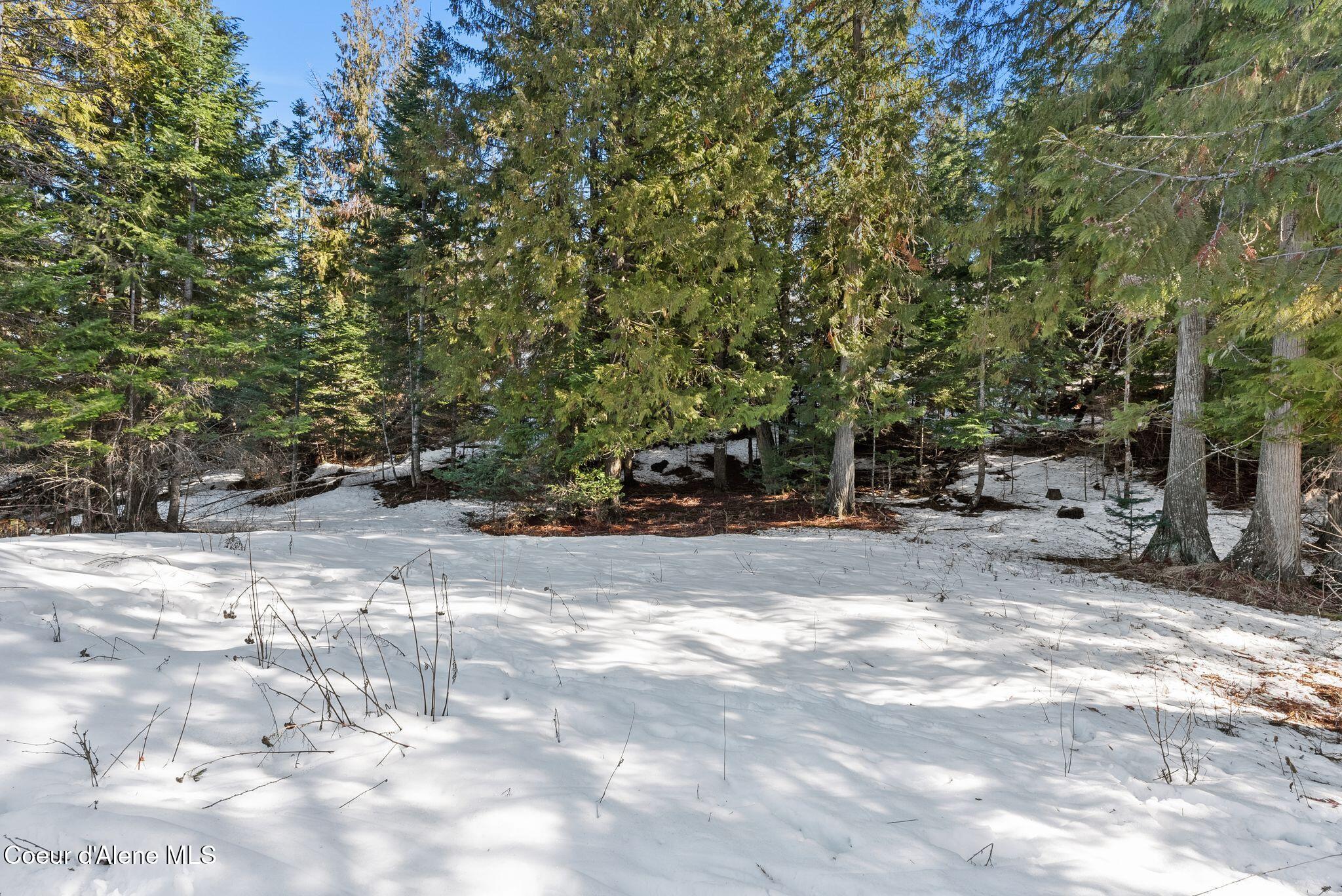 161 Brightwater Lane Sandpoint, ID 83864 - Photo 12 of 37 brightwater