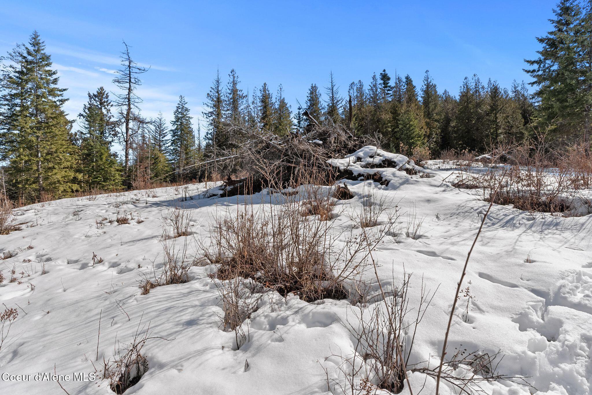 161 Brightwater Lane Sandpoint, ID 83864 - Photo 15 of 37 brightwater