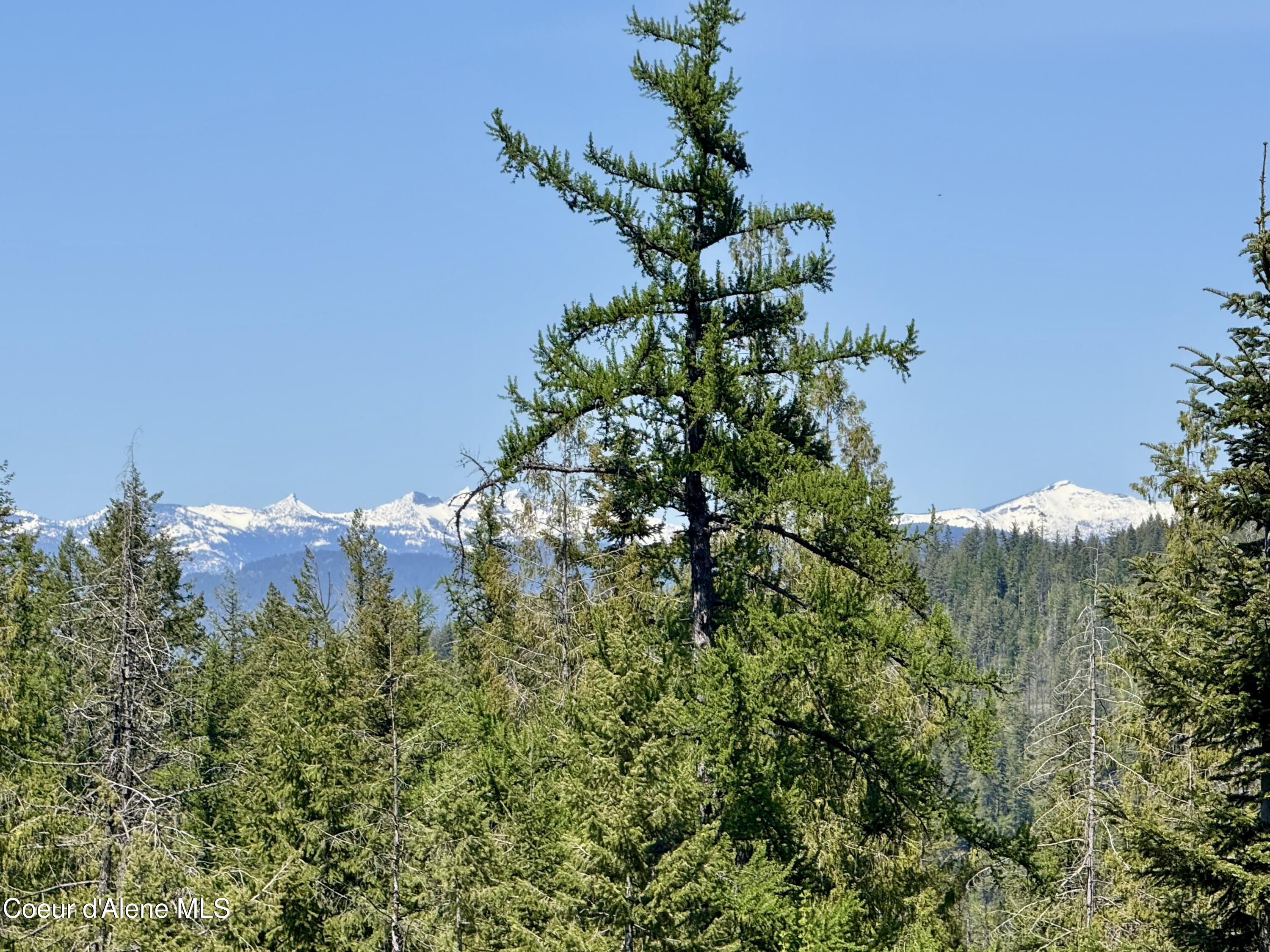 161 Brightwater Lane Sandpoint, ID 83864 - Photo 22 of 37 161 brightwater lane