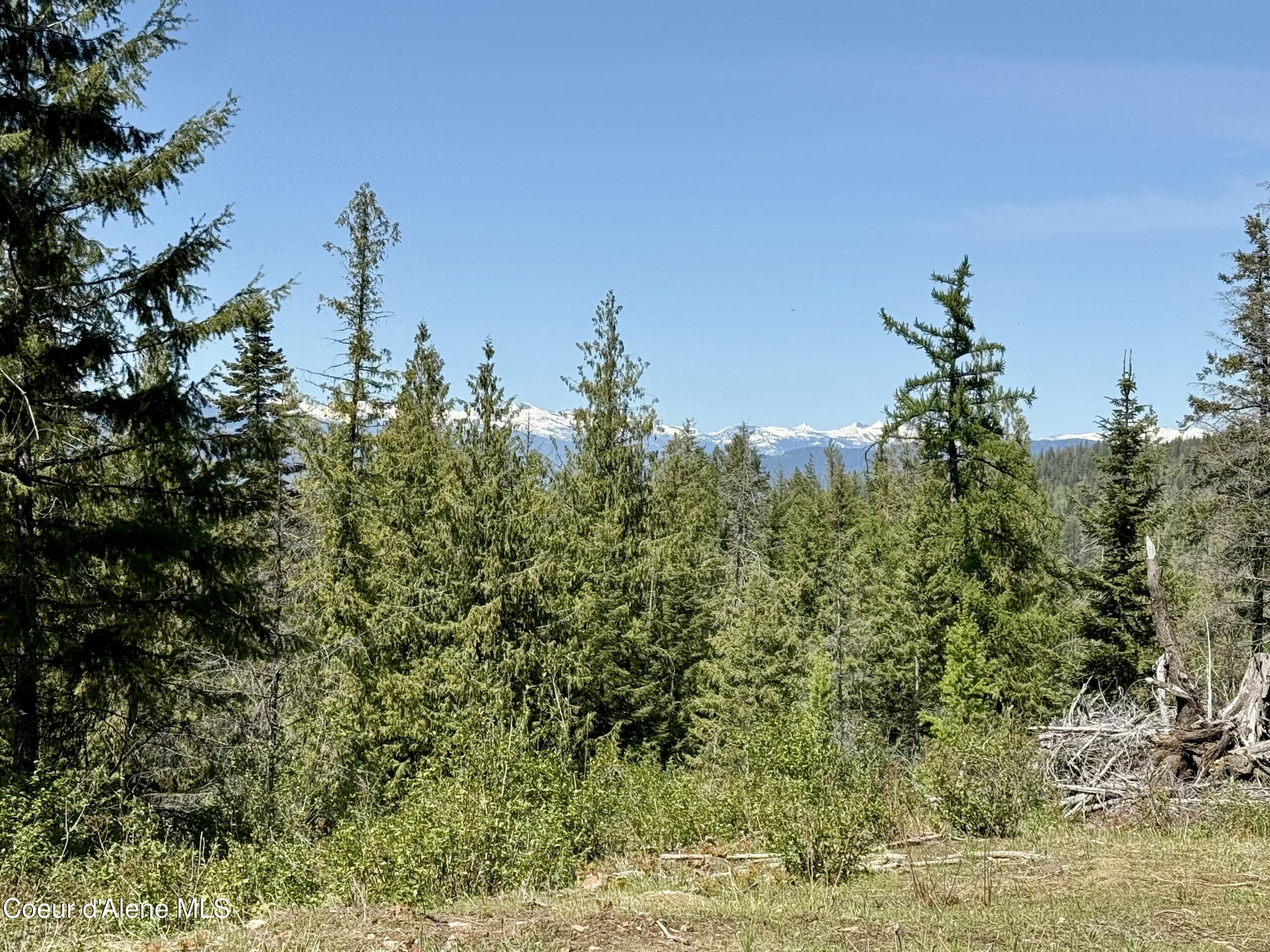 161 Brightwater Lane Sandpoint, ID 83864 - Photo 23 of 37 161 brightwater lane