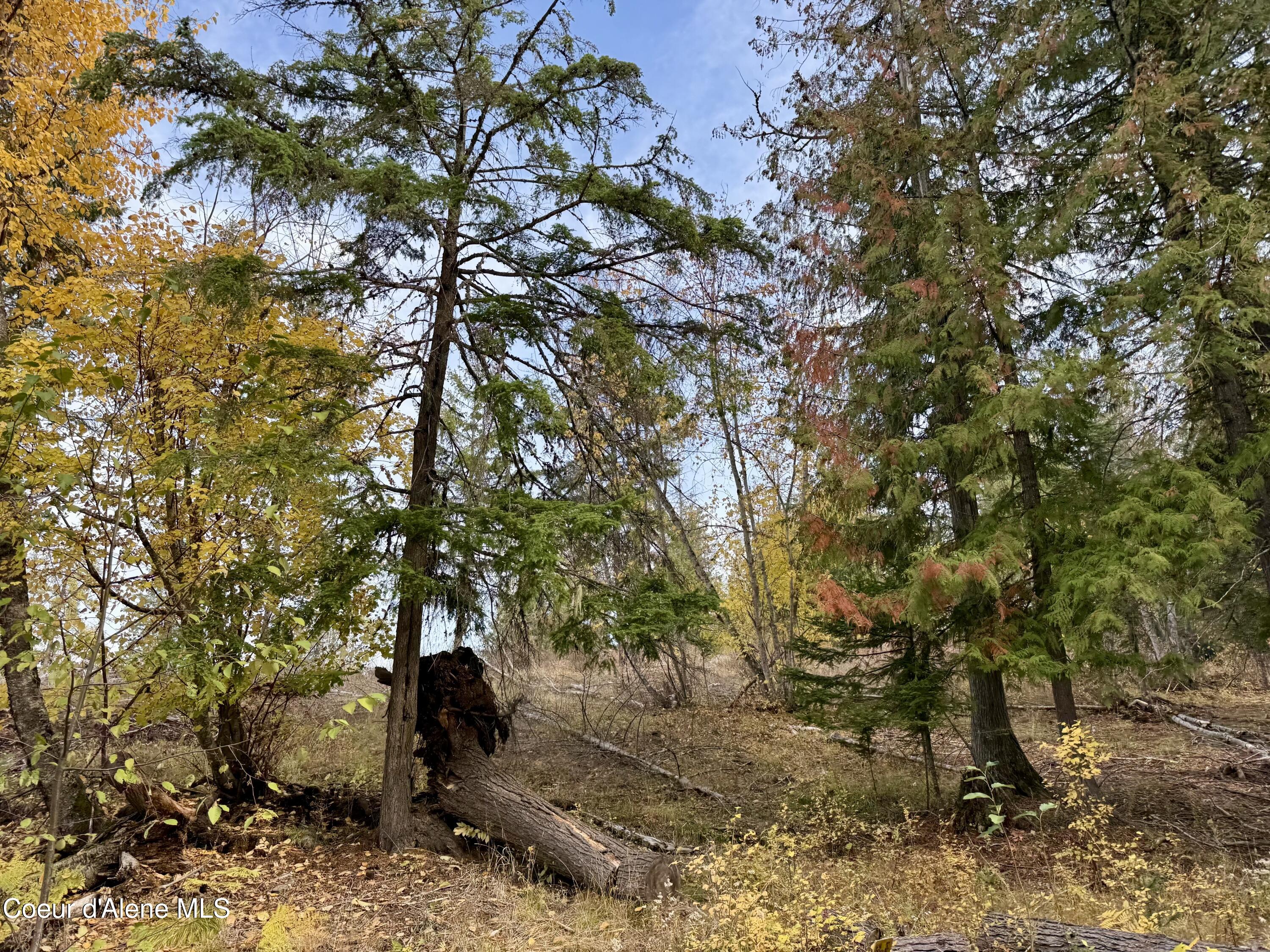 161 Brightwater Lane Sandpoint, ID 83864 - Photo 24 of 37 161 brightwater lane