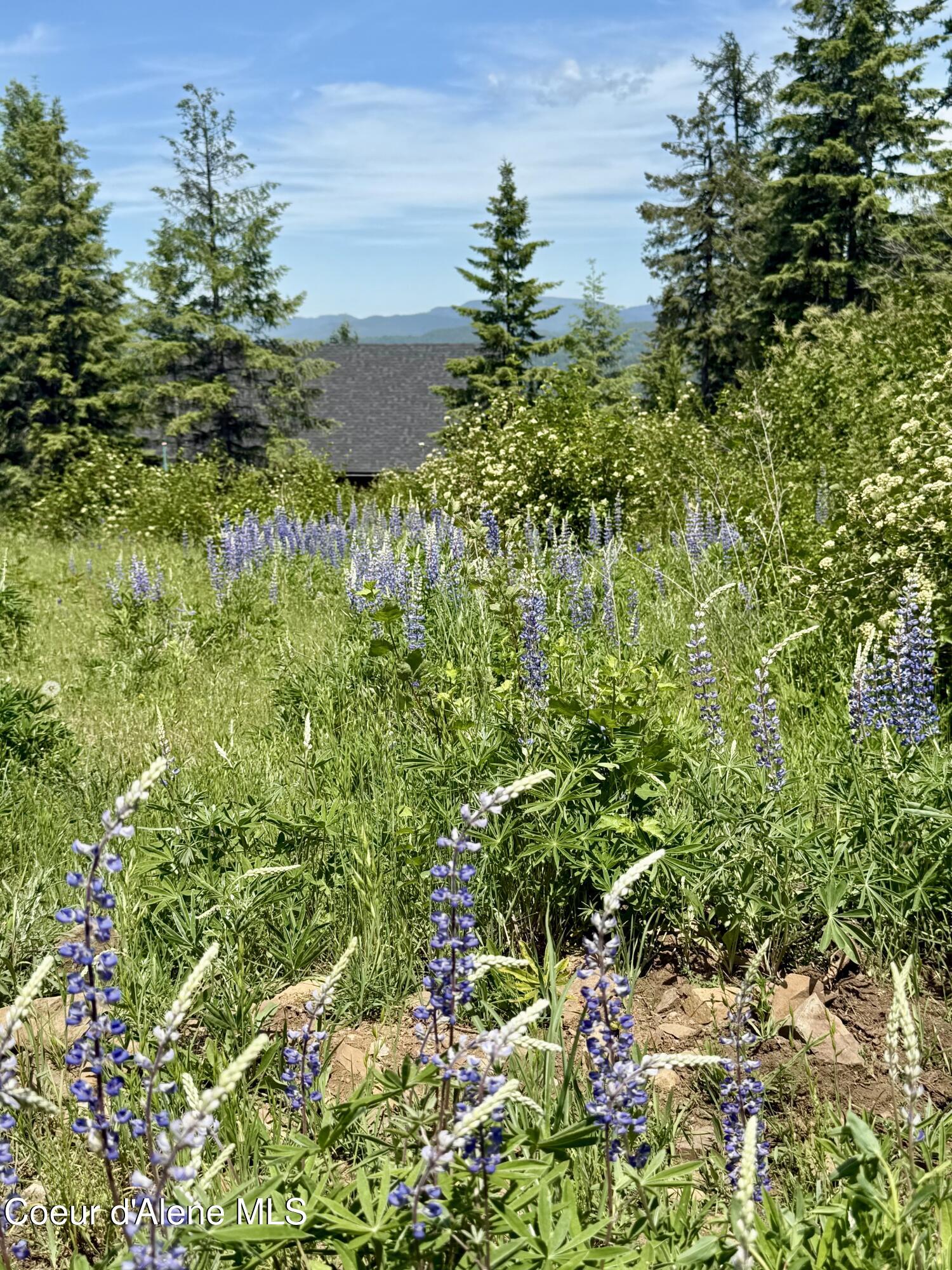 161 Brightwater Lane Sandpoint, ID 83864 - Photo 25 of 37 FullSizeRender