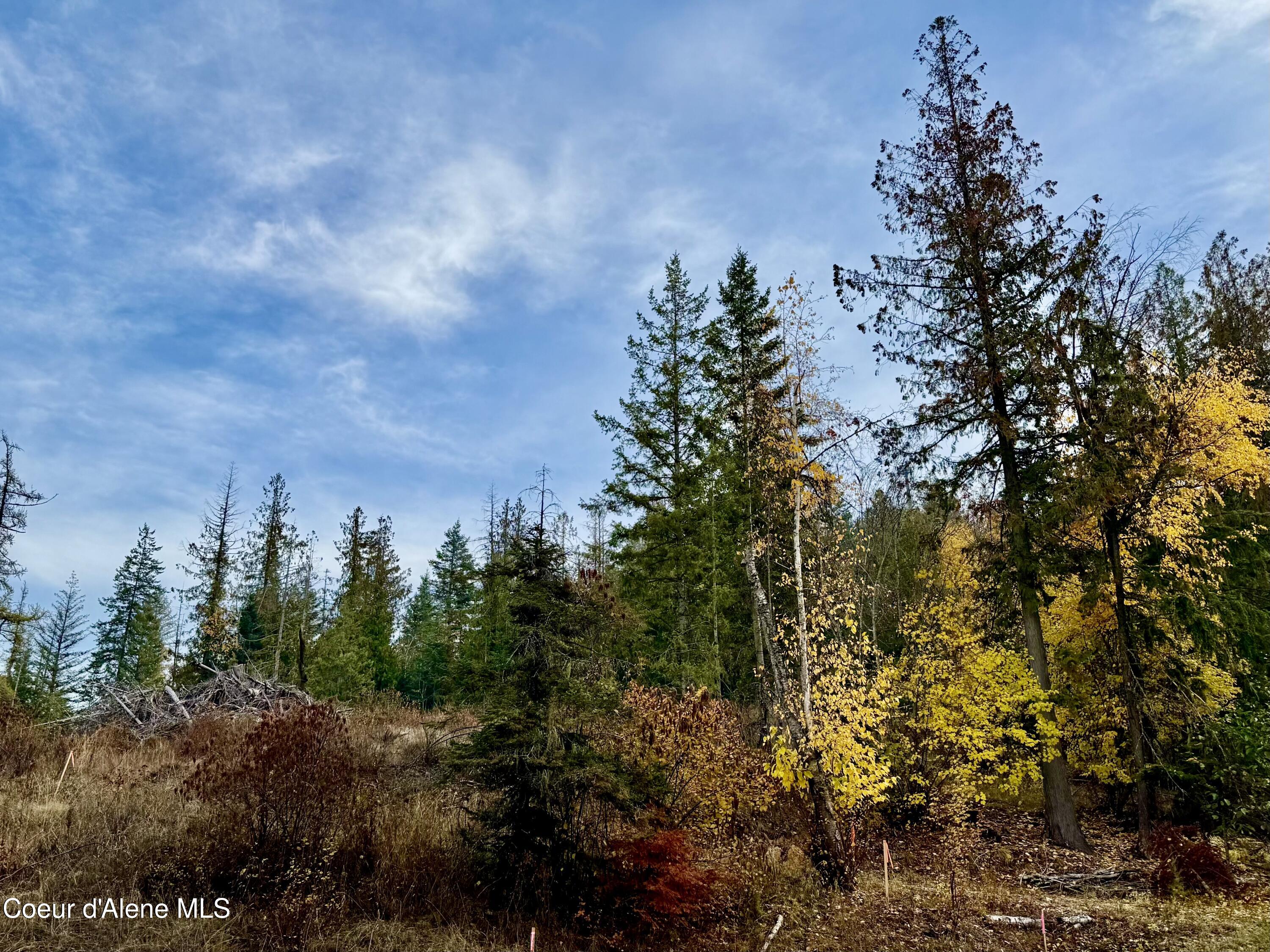 161 Brightwater Lane Sandpoint, ID 83864 - Photo 26 of 37 161 brightwater lane