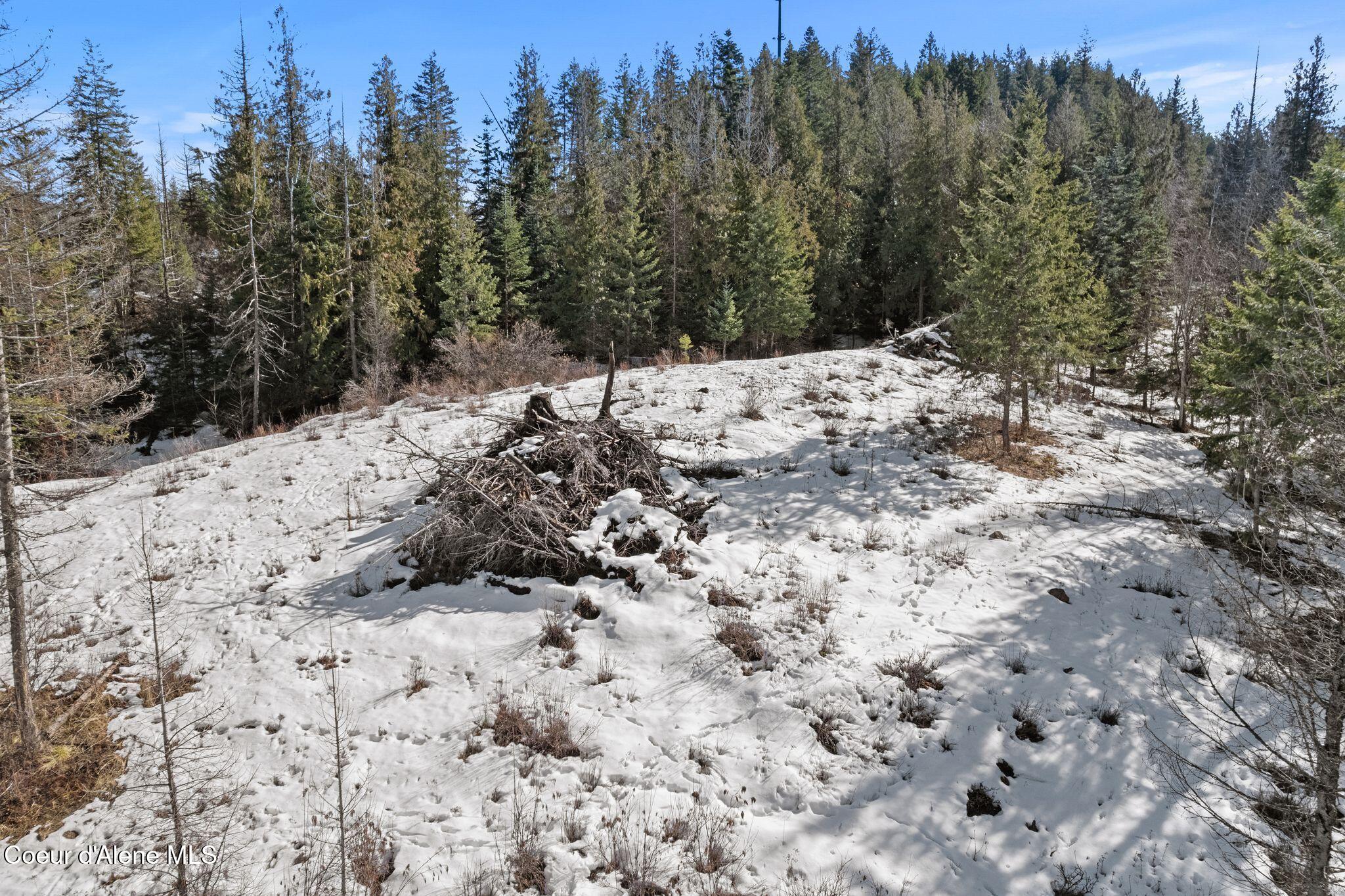 161 Brightwater Lane Sandpoint, ID 83864 - Photo 10 of 37 brightwater