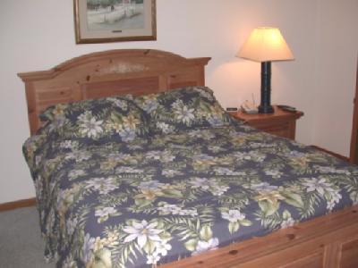 569 Iyopawa Road Coldwater, MI 49036 - Photo 4 of 20 Additional Photo