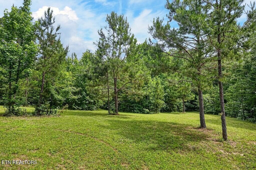 211 Arizona Lane Walling, TN 38587 - Photo 49 of 60