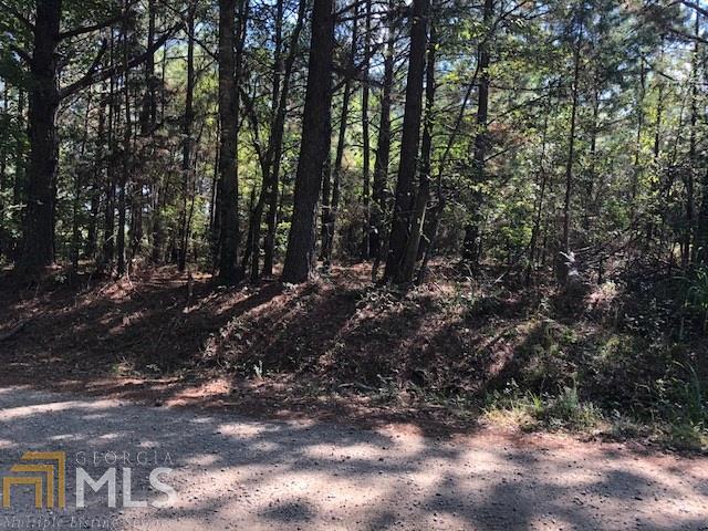 0 Barton Bridge Road, Unit A Monroe, GA 30655 - Photo 1 of 1