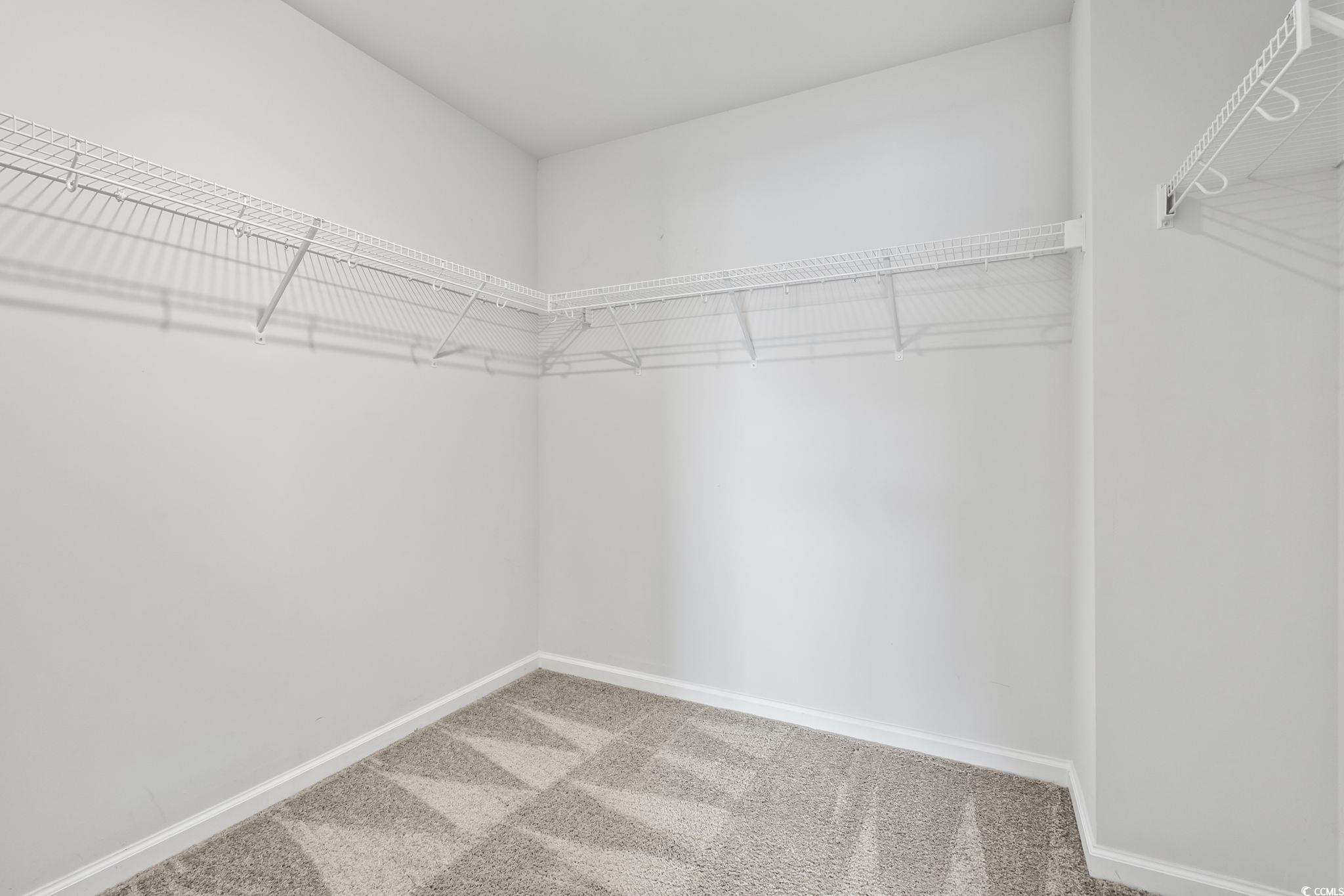 733 Lambeth Lane Conway, SC 29526 - Photo 19 of 40 Spacious closet featuring light colored carpet