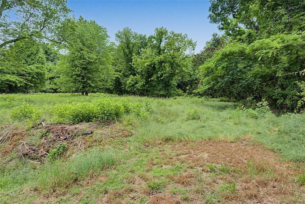 2115 King Road Dalton, GA 30720 - Photo 43 of 54 a view of a yard with a tree