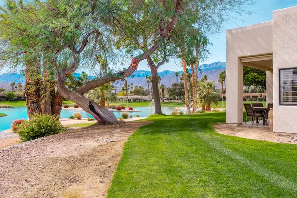 a view of a park with large trees