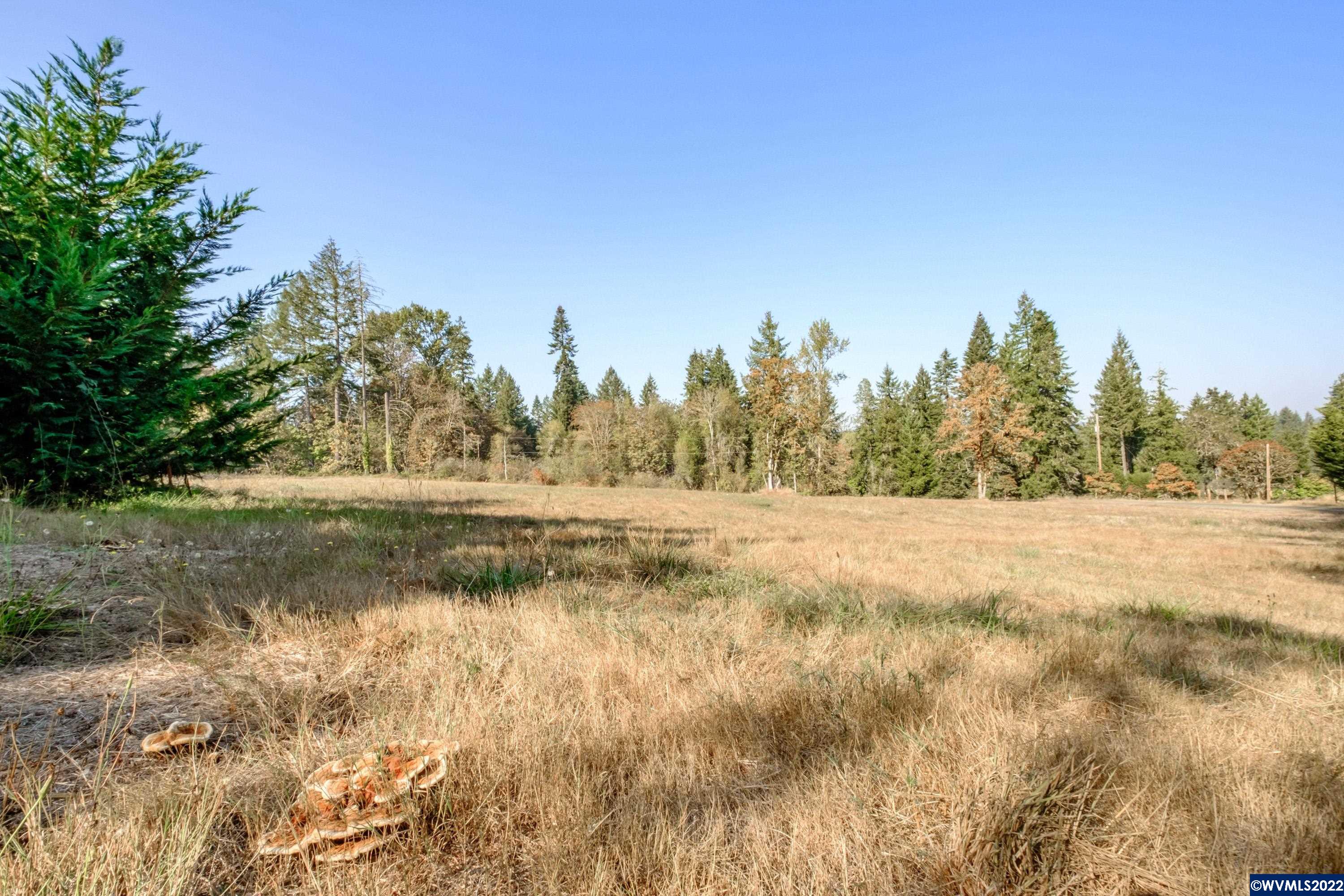 25668 Rice (parcel Road Sweet Home, OR 97386 - Photo 15 of 16 Gallery Image 15