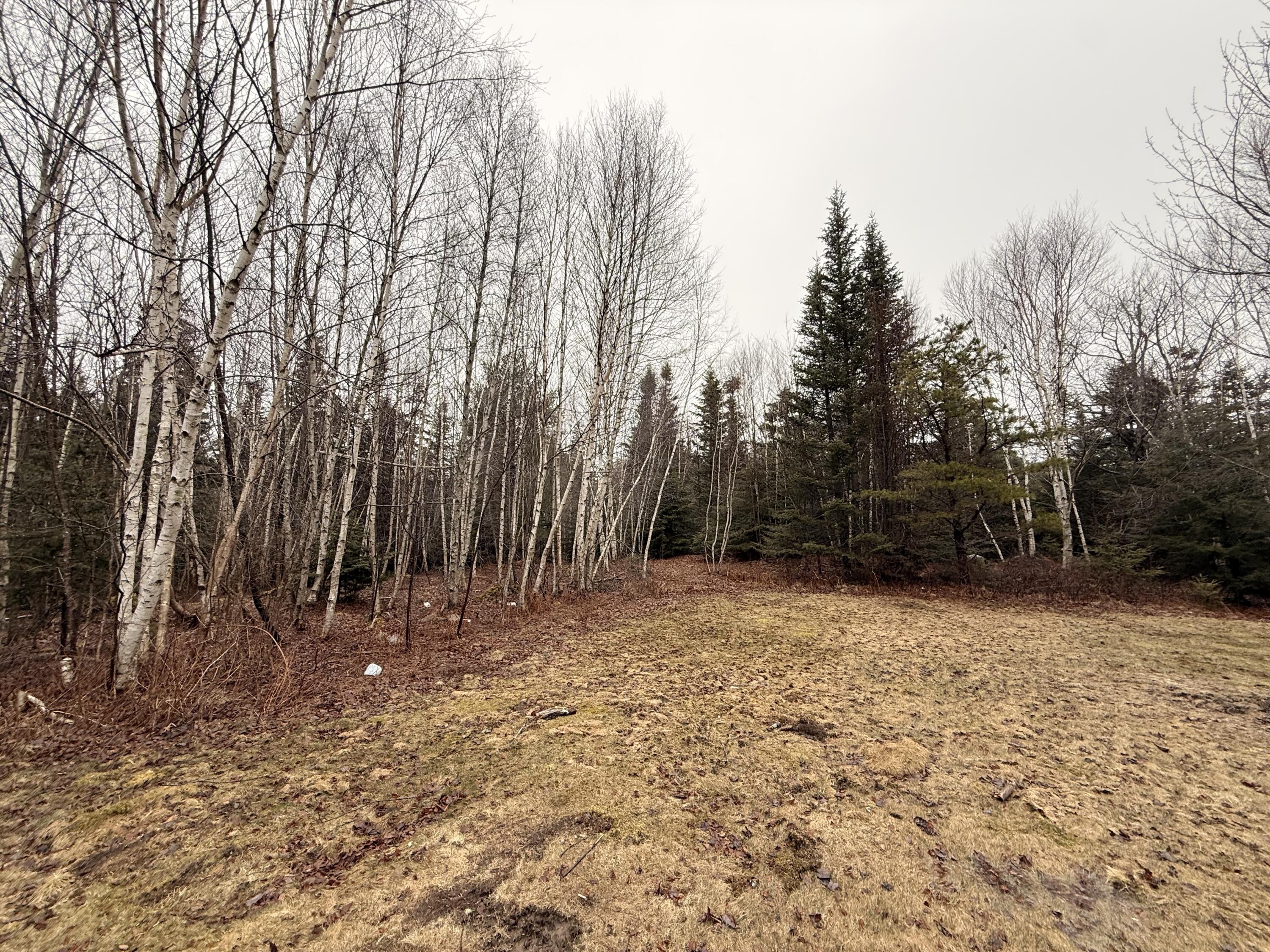 14 Sportsmans Way Vinalhaven, ME 04863 - Photo 21 of 21 IMG_6884