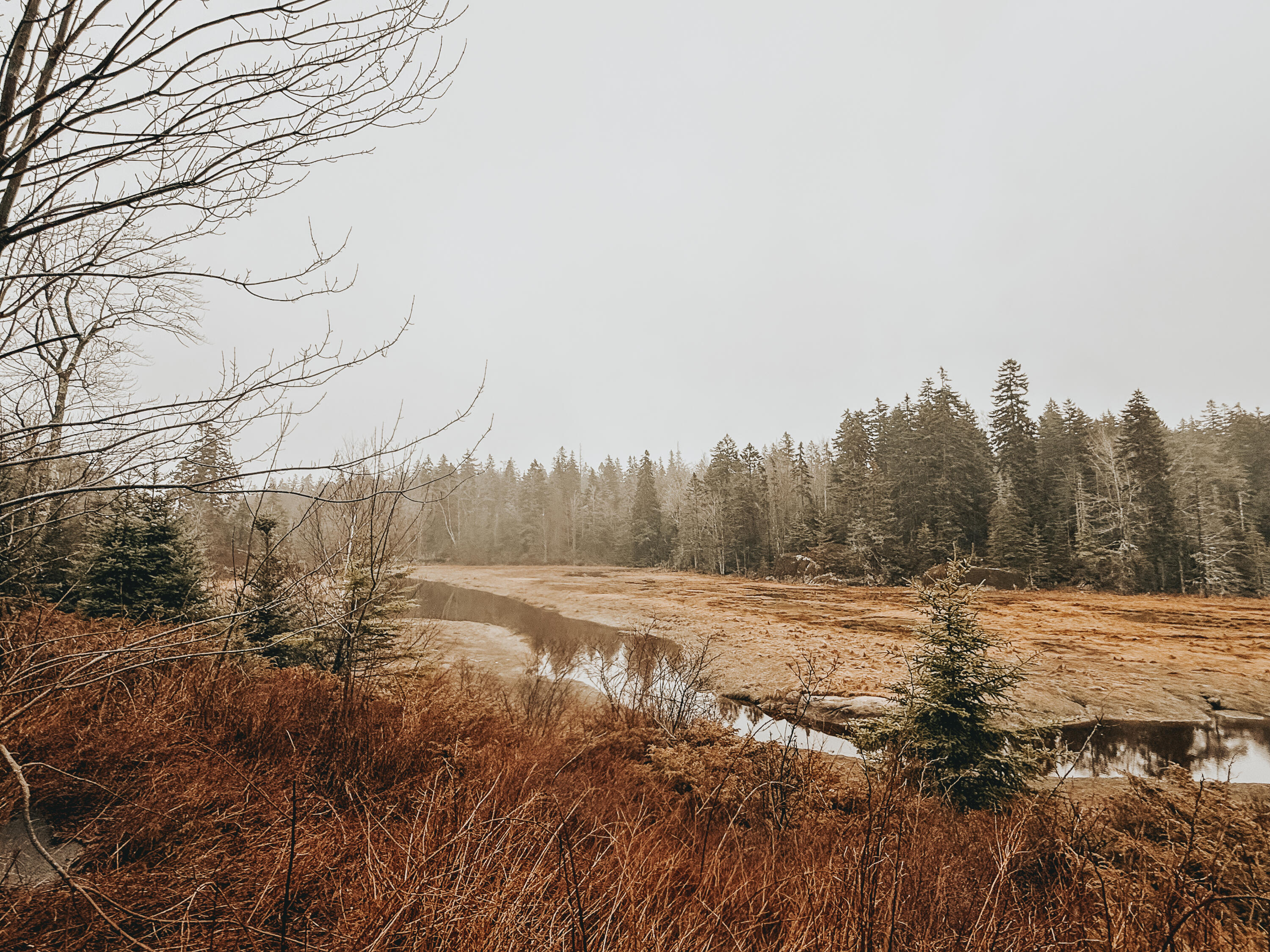 14 Sportsmans Way Vinalhaven, ME 04863 - Photo 4 of 21 IMG_6900