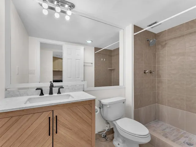 a bathroom with a sink a toilet a mirror a vanity and shower