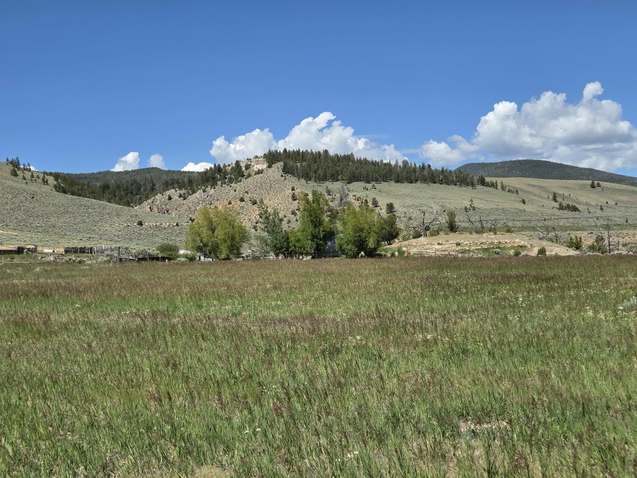 183 Bald Mountain Road Dubois, WY 82513 - Photo 36 of 48