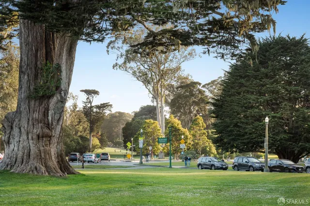 a view of a chair and table in the garden