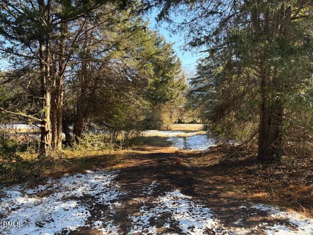 1366 Ned Moore Road Timberlake, NC 27583 - Photo 3 of 7 Driveway1