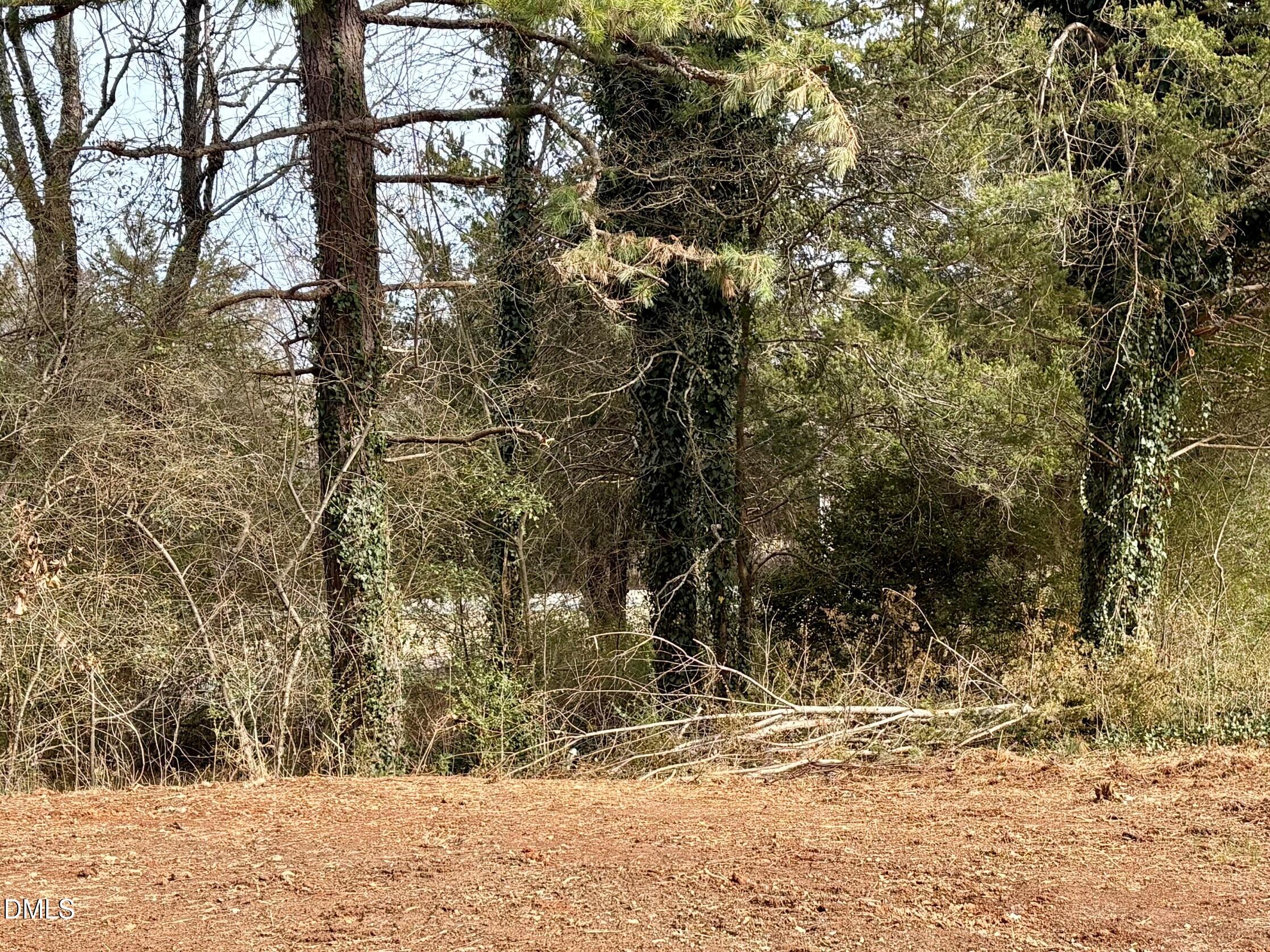 1366 Ned Moore Road Timberlake, NC 27583 - Photo 4 of 7 Brush and Trees 2