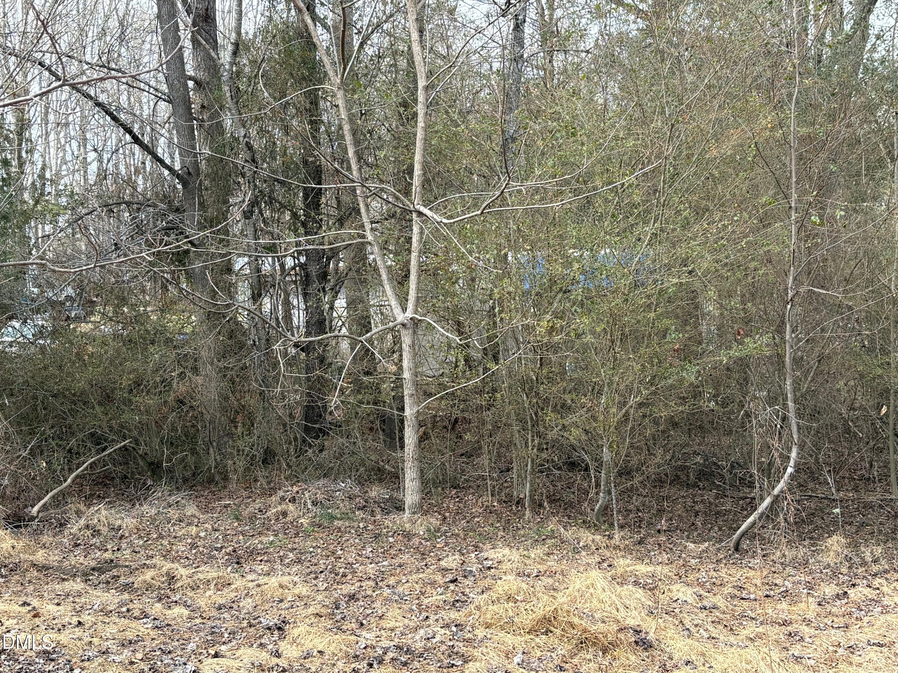 1366 Ned Moore Road Timberlake, NC 27583 - Photo 5 of 7 Brush and Trees