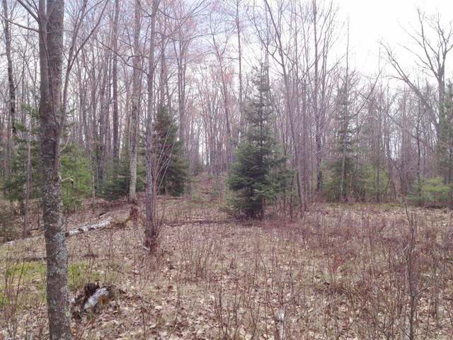 On Flowage Road Rhinelander, WI 54501 - Photo 6 of 13 Gallery Image 6
