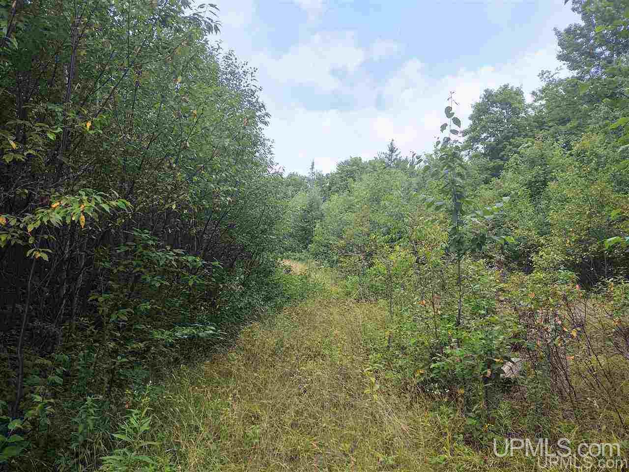 Tbd Connors Road Iron River, MI 49935 - Photo 4 of 34